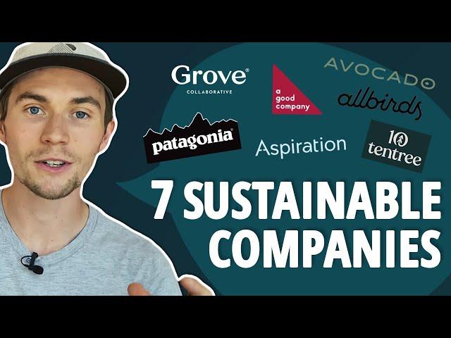 The 7 Most Environmentally Friendly & Sustainable Companies to Support