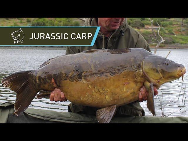 Kevin Nash and Alan Blair Carp Fishing JURASSIC CARP in La Gomera - Nash 2014 Carp Fishing DVD Movie