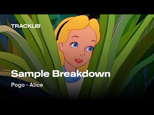 Sample Breakdown: Pogo - Alice