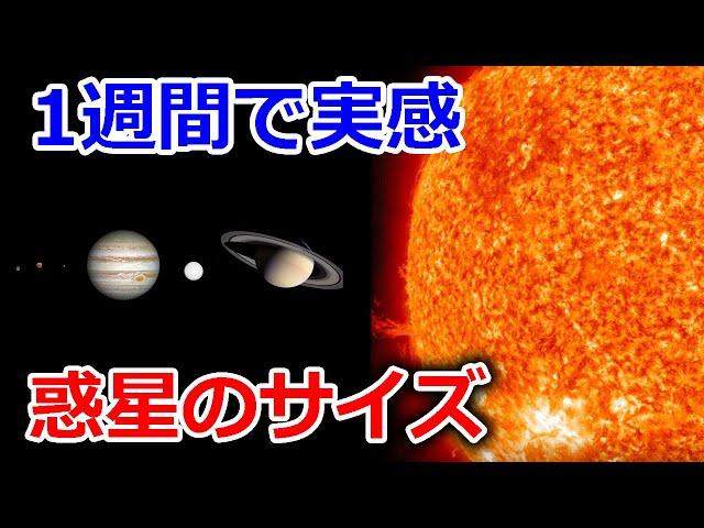 一週間「月火水木金土日」の順番はどう決まったのか？由来と惑星サイズ【JST 午後正午】 [4K]