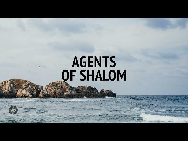 Agents of Shalom | Audio Reading | Our Daily Bread Devotional | November 23, 2024