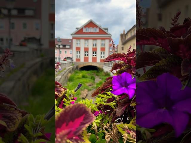 Black Forest: A Stroll Through Müllheim. #travel #schwarzwald #blackforest #germany #travelgermany