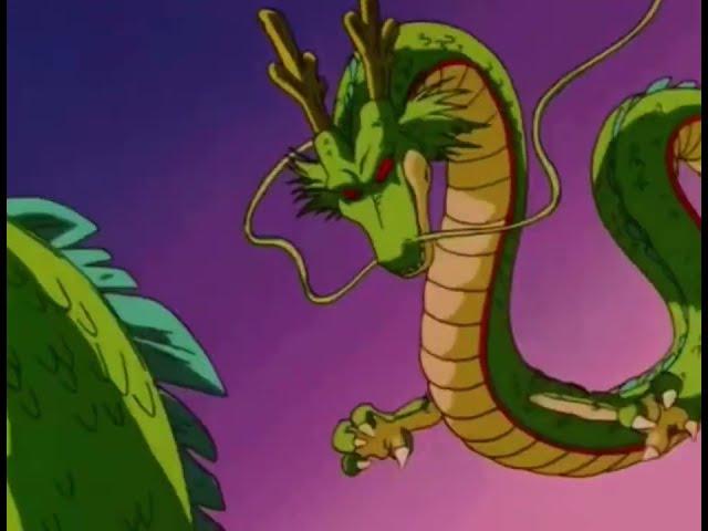 Goku leaves with shenron!!!