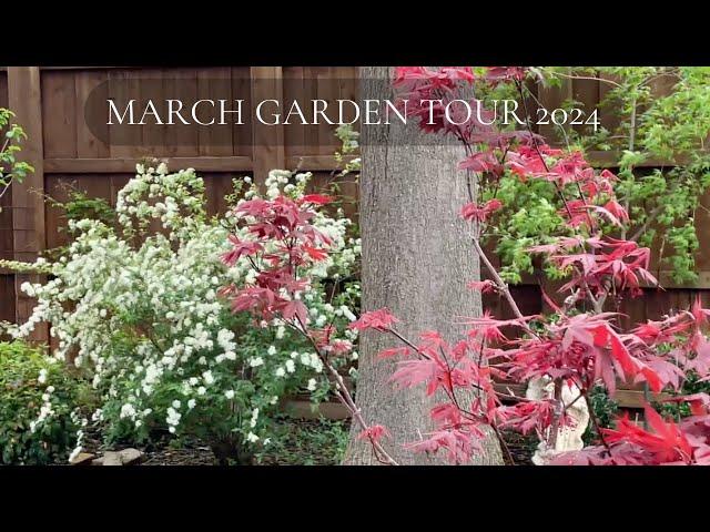 Texas Garden Tour March 2024 #northtexasgardening #zone8b #provenwinners #costcoyardistrygreenhouse