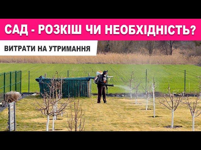 Скільки ми платимо за послуги САДІВНИКІВ, прийшли НОВІ МЕБЛІ, прибирання в авто та будинку