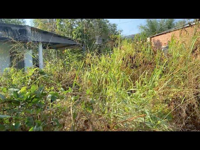 Help the poor worker clean up the garden around the house yard, beautiful satisfying transformation