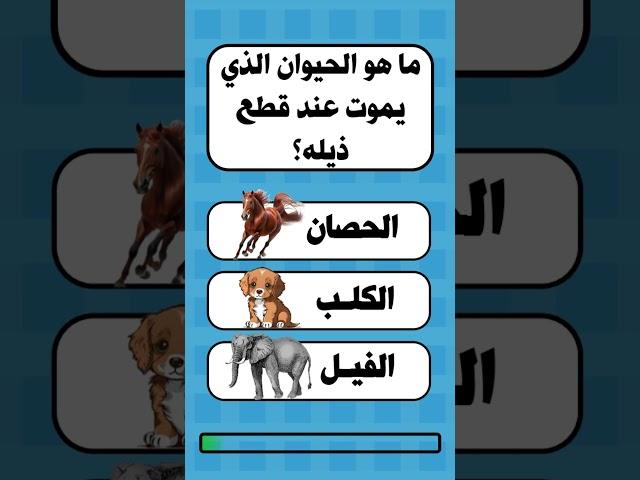 ما هو الحيوان الذي يري الملائكة؟ | اسئلة ثقافية متنوعة |سؤال وجواب #shorts #الغاز  #عبقرينو_الألغاز
