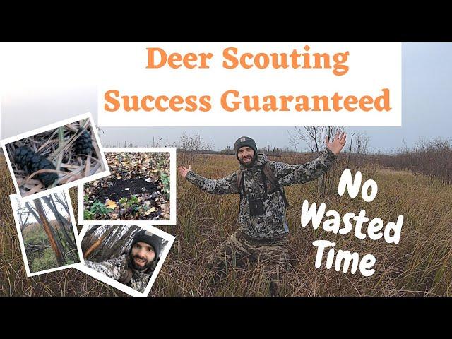 Find Deer FAST - Deer Scouting that ALWAYS Works!