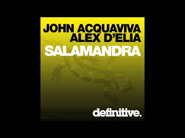 "Salamandra (Original Mix)" - John Acquaviva & Alex D'elia - Definitive Recordings