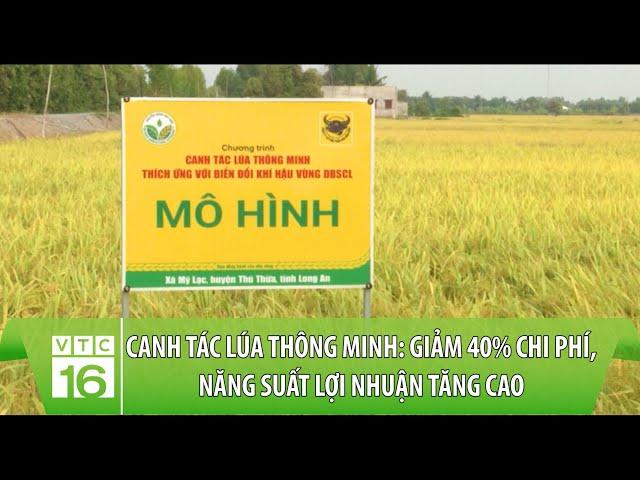 Canh tác lúa thông minh: Giảm 40% chi phí, năng suất lợi nhuận tăng cao | VTC16