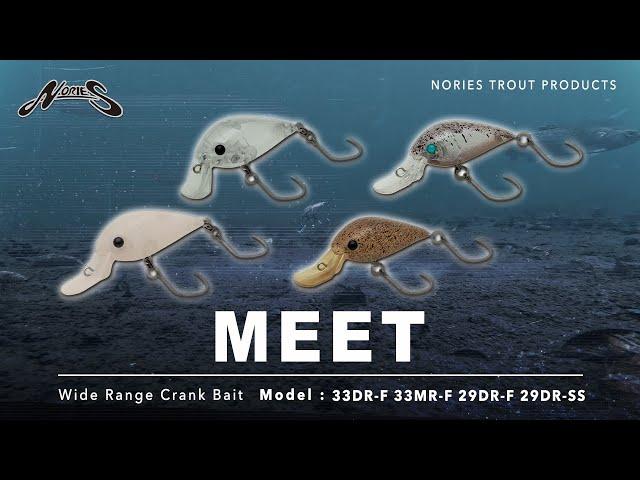 NORIES TROUT / MEET