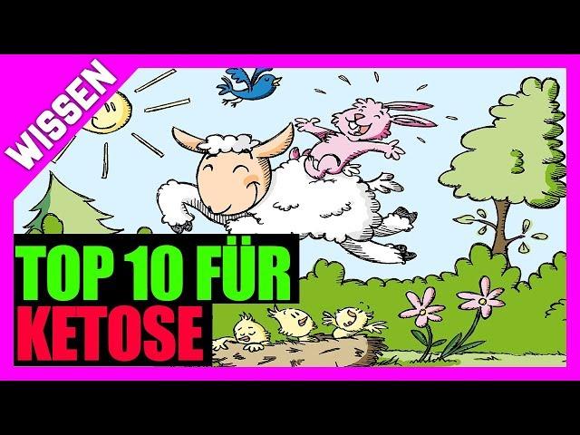 TOP 10 FÜR eine ketogene Ernährung  Meine Gründe für die Ketose [Low Carb High Fat]