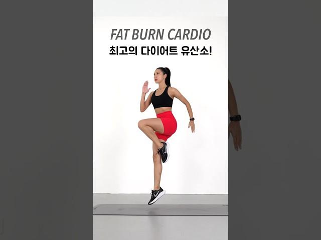 Intense Fat Burning Workout - 미친듯이 살빠지는 다이어트 유산소 운동 #fatloss #weightloss #cardio #workout #유산소 #다이어트