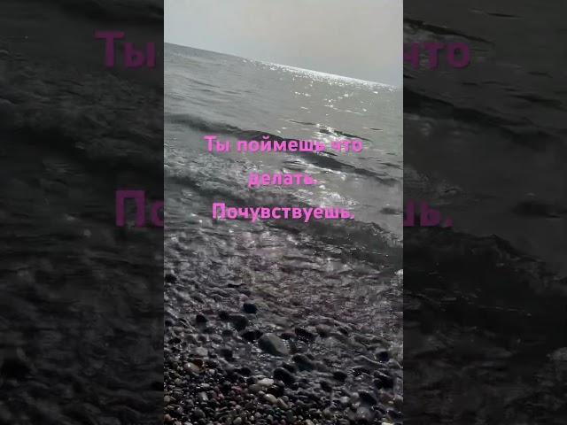 Сон. Питание. Медитация. #психосоматика #победитьстресс #дофамин# психологическоетрио #психолог