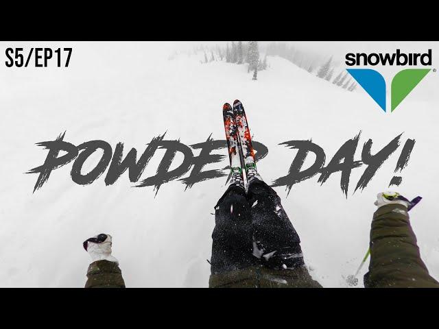 May POWDER day at SNOWBIRD!