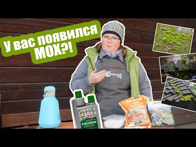 Избавиться от мха - это просто! Лучшие средства от мха на участке и постройках