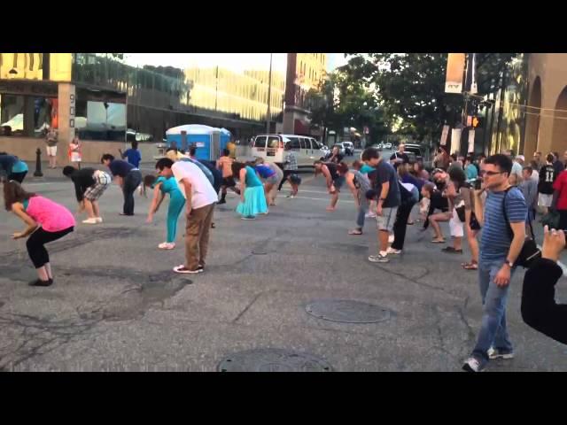 DJ JOSH ERIE VLOG 2012 - Celebrate Erie Flash Mob