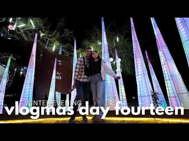 VLOGMAS DAY 14  spend a winter evening with me | LA zoo aglow, gingerbread decorating +stargazing