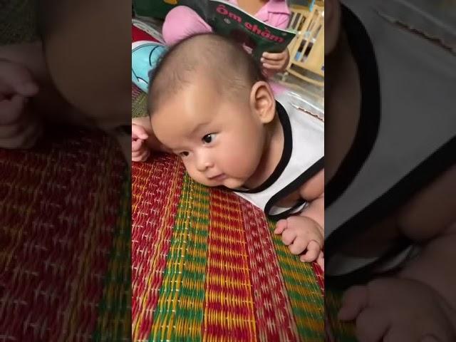 Tiger cute 3month 3week turn over Tự Lật Tự Ngẩng Đầu