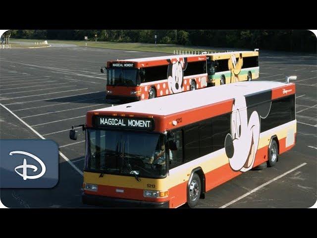 The Sensational Six are Rolling Out on Disney Transportation