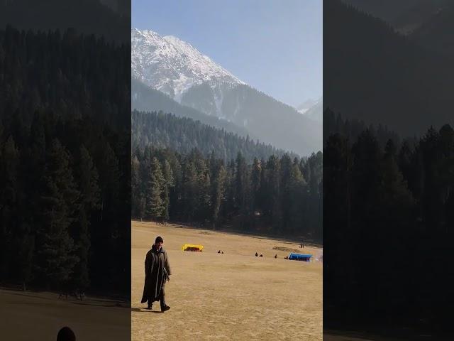 Mini Switzerland (Pahalgam) #pahalgam #kashmir #heavenonearth