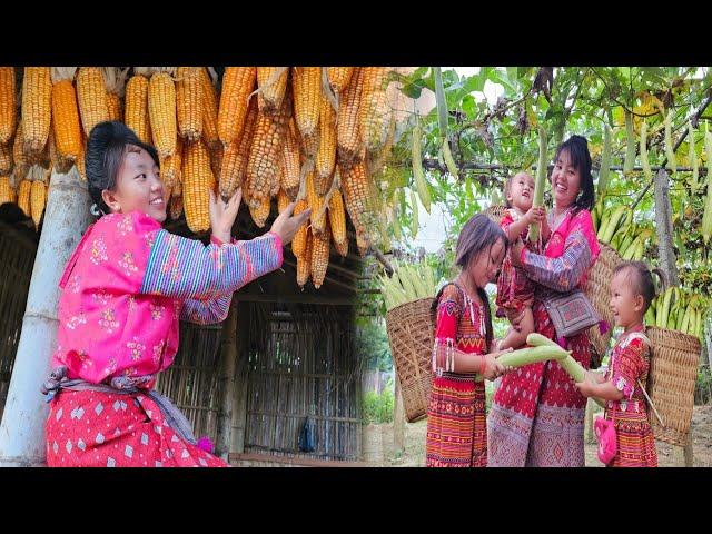 The Life of a 17-Year-Old Single Mother - Harvesting Gourd Fruit, Raising Three Children, Daily Work