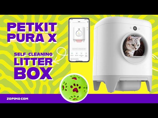 Petkit Pura X Unveiled! | The Litter Box REVOLUTION Every Cat Owner's Raving About! 