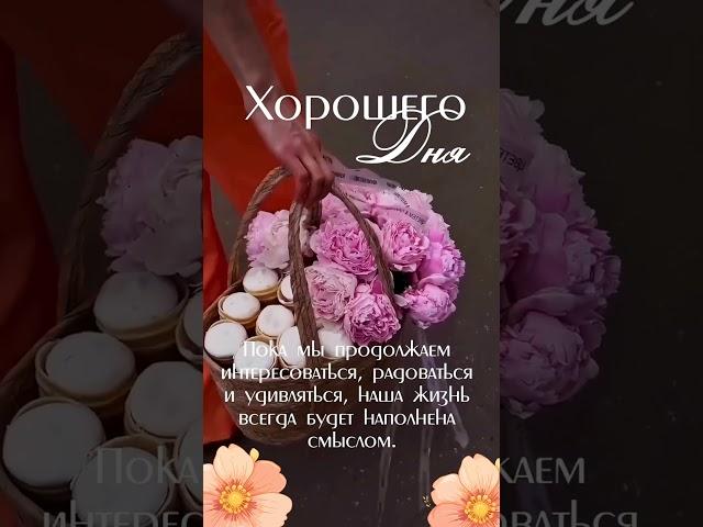 Хорошего дня! Наполняют жизнь смыслом!