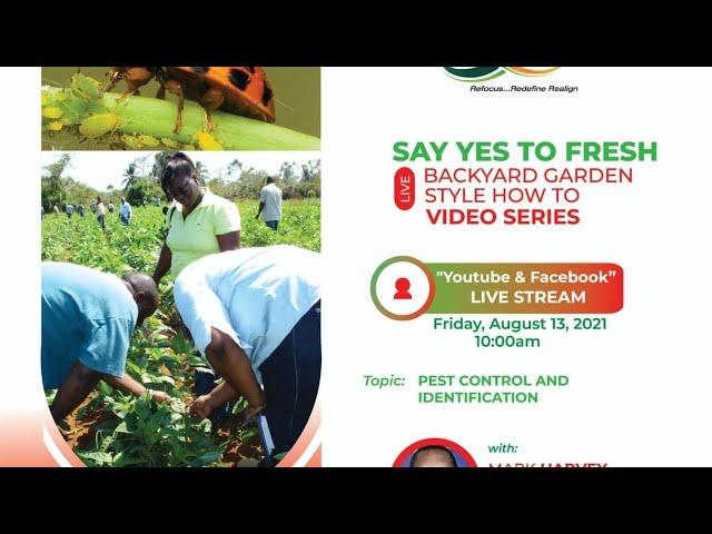 Pest Control and Identification- Say Yes to Fresh Backyard Gardening Series