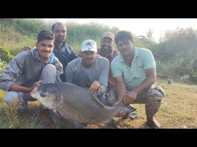 30kg monster katla catch | 30 kg मोंस्टर कतला पकडला | mp fishing aurwad