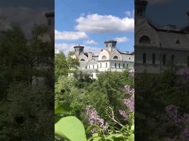Таємні кімнати палацу у Корсуні #україна #історичніфакти #історія #мандри #квіти #мандруйукраїною