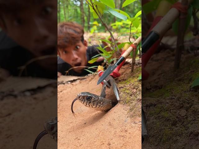 Simple Easy Snake Trap using Red pliers & Arrows #buildsnaketrap