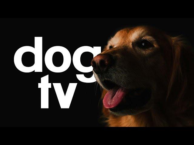 Dog TV - Exciting Video for Your Dog To Watch - 20 Hours of Petflix!