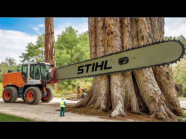 Extreme Dangerous Fastest Big Chainsaw Cutting Tree Machines | Monster Stump Removal Excavator #24