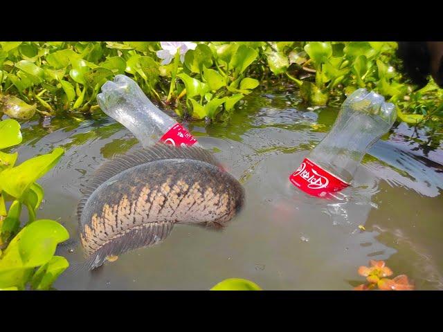 Best bottle fishing ️ Traditional Hook Fish Trap With Plastic Bottle ️ Best Hook Fishing Video.