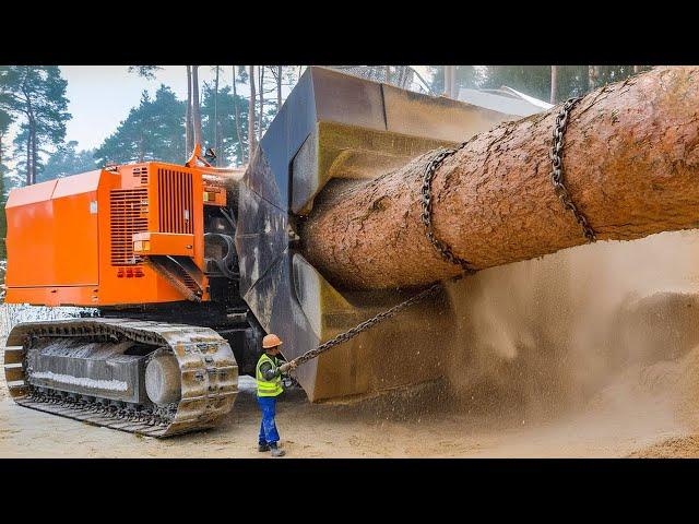 Amazing Dangerous Powerful Wood Chipper Machines, Fastest Tree Shredder & Heavy Equipment Machines