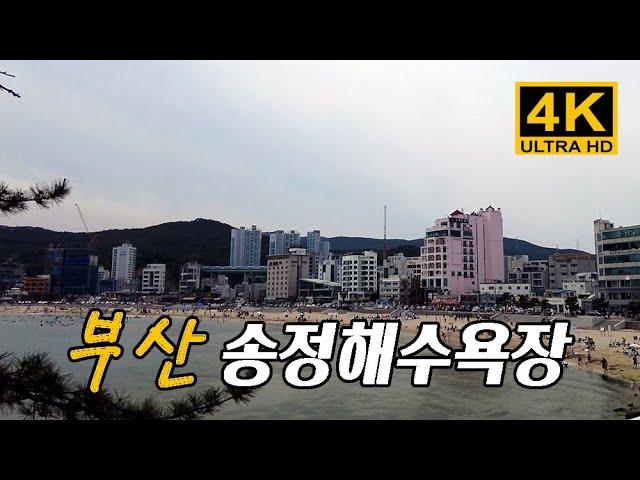 [4K KOREA] 해운대해수욕장과 함께 부산에서 가장 먼저 개장한 송정해수욕장에 서핑하는 사람들이 많네요. Songjeong Beach in Busan. 맛집 카페 가볼만한 곳