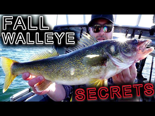 SECRET WALLEYE Pattern EVERY Fisherman Should Know! Pop Pop DROP! Fox Fishing 4K ULTRA HD