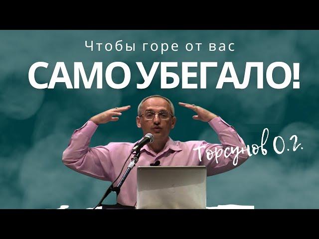 Чтобы горе от вас само убегало! Торсунов лекции