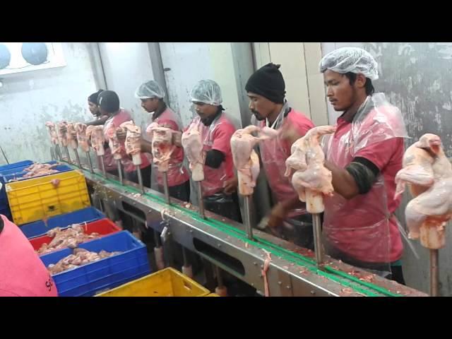 Cone Deboning Conveyor (Boneless) Chicken