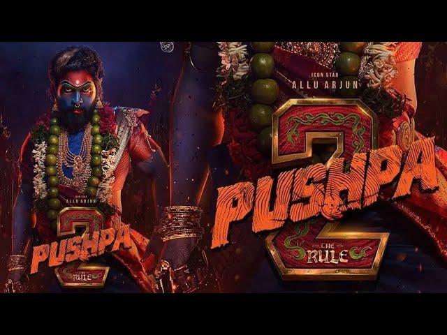 Pushpa 2 movie || trending video || Superhit Pushpa 2 movie || Bollywood movie || HD No Video |.....