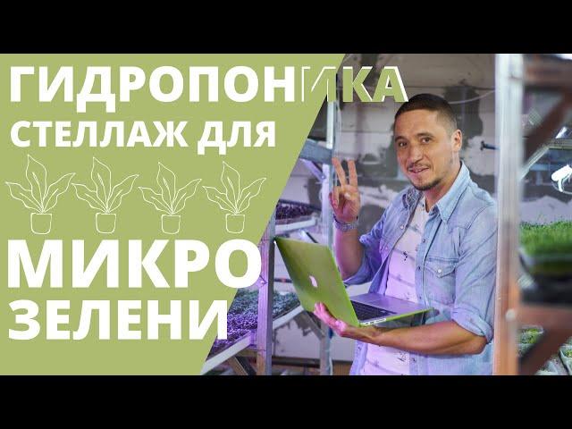Выращивание на Гидропонике Стеллаж Микрозелень Обзор микрогрин  гидропоника