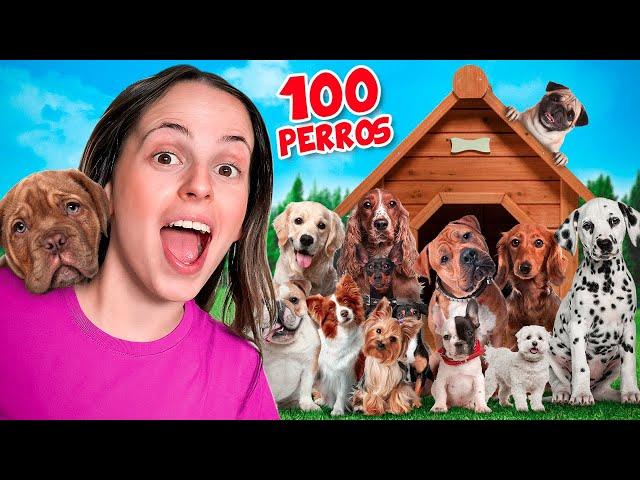 ADOPTING 100 DOGS FOR 24 HOURS!