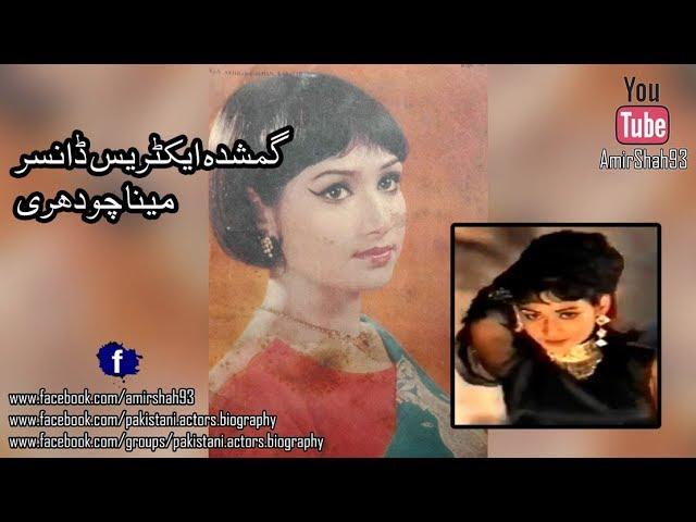 Meena Chaudhry Lost Actress