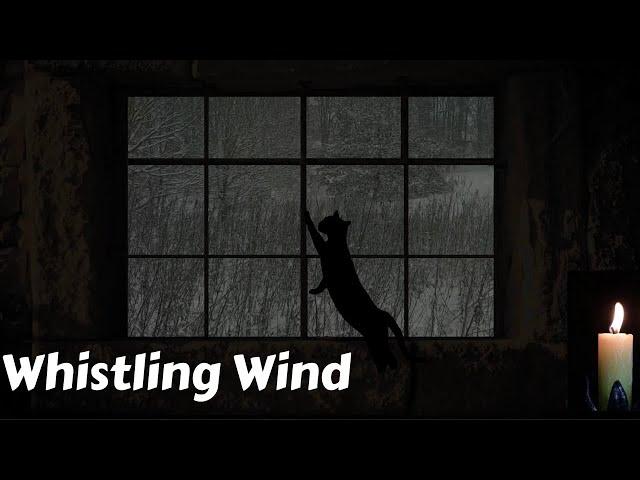 Cold Wind Whistling Through Leaky Window -  Good For Insomnia, Relaxation, Tinnitus And Meditation