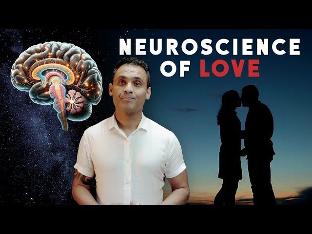 The Neuroscience of Love and Attachment: Oxytocin, Vasopressin, and Dopamine's Role in Bonding