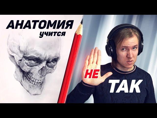 Анатомия для художников. Хватит учить её ТАК!