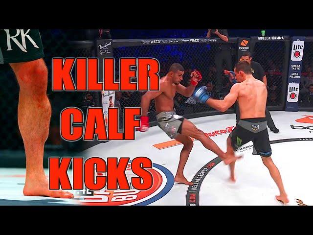 10 MMA fights with VICIOUS calf kicks