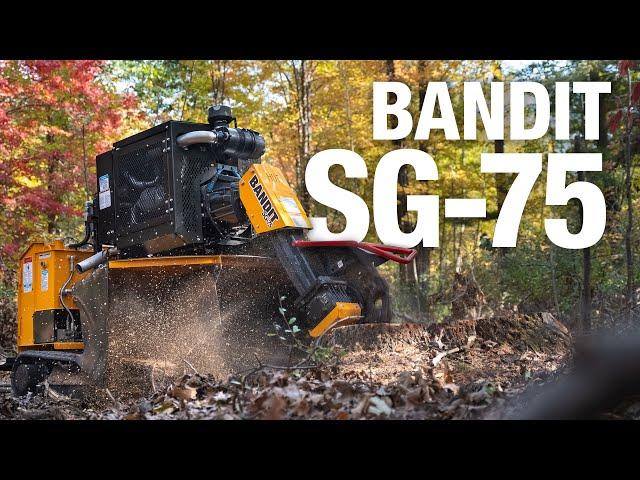 The Newly Updated BANDIT SG-75 Stump Grinder Keeps Out-grinding the Competition!