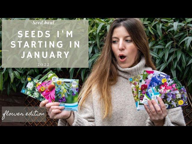 Flower seeds I'm sowing in January in my cold frame Sweet peas, Cosmos & more! (England, zone 8)